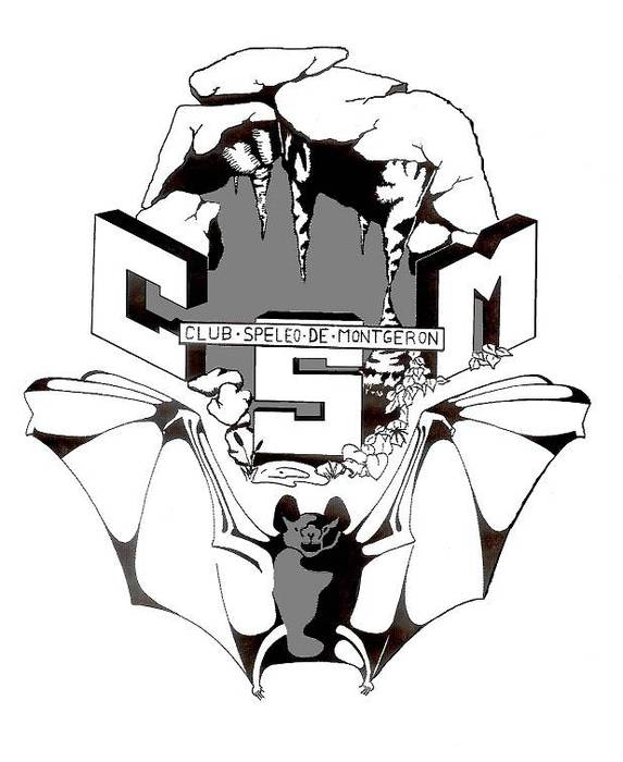 Logo CSM